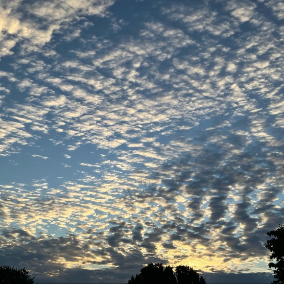 Meet your Posher, Cassie - Picture 14 of 16